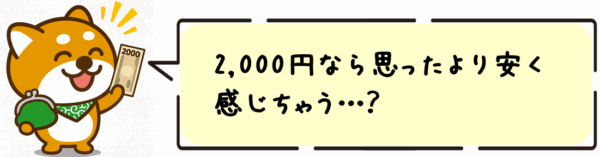 2,000円なら思ったより安く感じちゃう…？