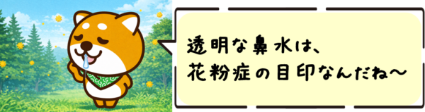 透明な鼻水は、花粉症の目印なんだね～