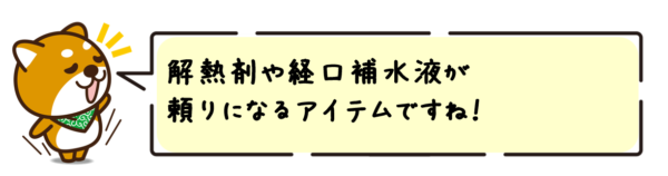 解熱剤や経口補水液が頼りになるアイテムですね！