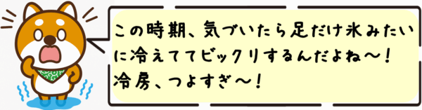この時期、気づいたら足だけ氷みたいに冷えててビックリするんだよね〜！冷房、つよすぎ〜！
