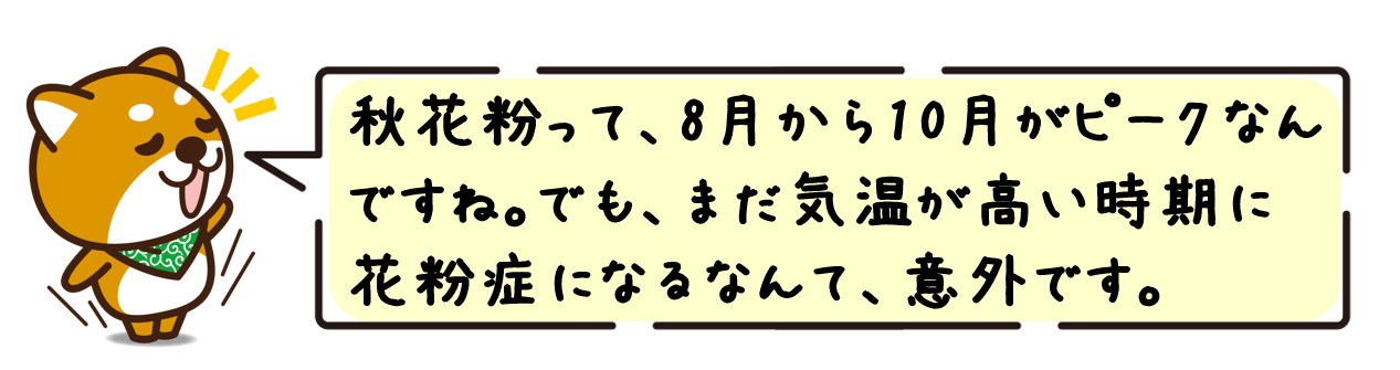 秋花粉って、8月から10月がピークなんですね。でも、まだ気温が高い時期に花粉症になるなんて、意外です。