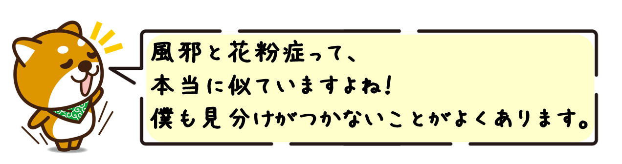 風邪と花粉症って、本当に似ていますよね！僕も見分けがつかないことがよくあります。