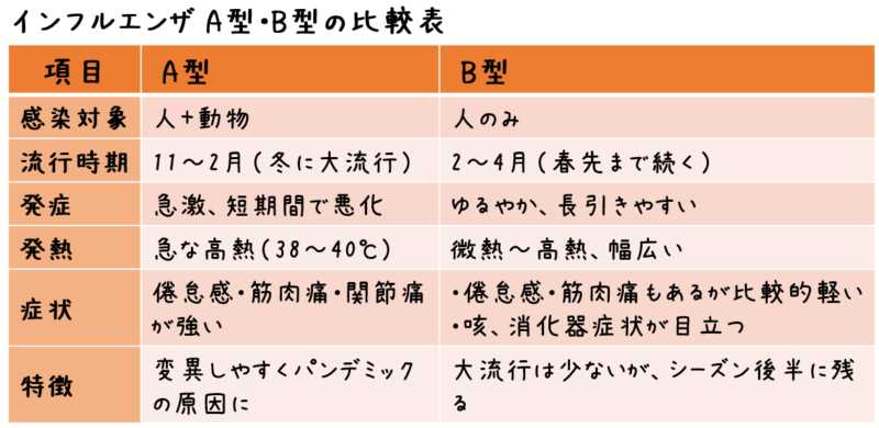 項目 A型 B型 感染対象 人＋動物 人のみ 流行時期 11〜2月（冬に大流行） 2〜4月（春先まで続く） 発症 急激、短期間で悪化 ゆるやか、長引きやすい 発熱 急な高熱（38〜40℃） 微熱〜高熱、幅広い 症状 倦怠感・筋肉痛・関節痛が強い 倦怠感・筋肉痛も出るが軽めに見えることあり。咳・消化器症状が目立つ 特徴 変異しやすくパンデミックの原因に 大流行は少ないが、シーズン後半に残る