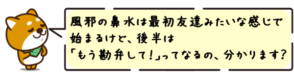 風邪の鼻水は最初友達みたいな感じで始まるけど、後半は“もう勘弁して！”ってなるの、分かります？