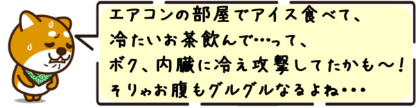 エアコンの部屋でアイス食べて、冷たいお茶飲んで…って、ボク、内臓に冷え攻撃してたかも〜！そりゃお腹もグルグルなるよね〜！