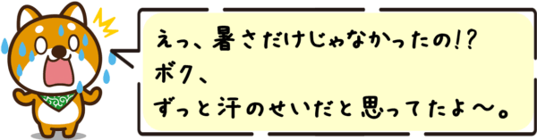 えっ、暑さだけじゃなかったの!? ボク、ずっと汗のせいだと思ってたよ〜。