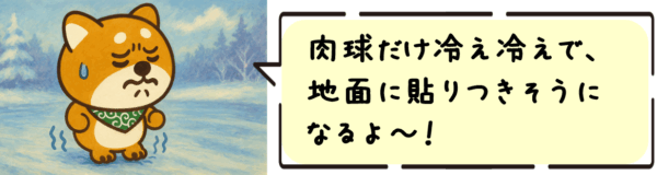 肉球だけ冷え冷えで、地面に貼りつきそうになるよ〜！