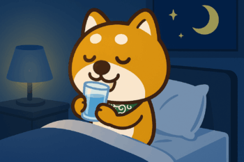 寝る前の水分補給で夜中のトラブルを防ぐ