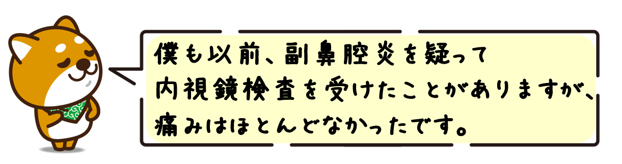 僕も以前、副鼻腔炎を疑って内視鏡検査を受けたことがありますが、痛みはほとんどなかったです。