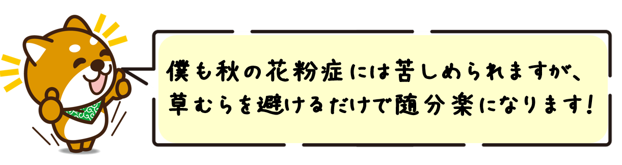 僕も秋の花粉症には苦しめられますが、草むらを避けるだけで随分楽になります！