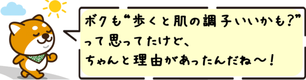 ボクも“歩くと肌の調子いいかも？”って思ってたけど、 ちゃんと理由があったんだね〜！