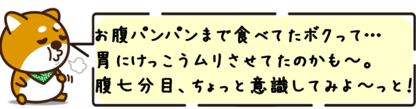 お腹パンパンまで食べてたボクって…胃にけっこうムリさせてたのかも〜。腹七分目、ちょっと意識してみよ〜っと！