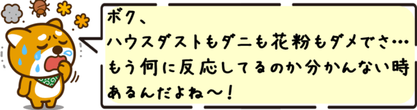 ボク、ハウスダストもダニも花粉もダメでさ〜…もう何に反応してるのか分かんない時あるんだよね〜！