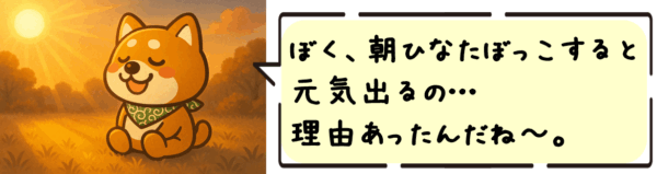 ぼく、朝ひなたぼっこすると元気出るの…理由あったんだね〜。