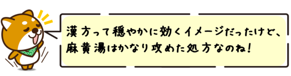 漢方って穏やかに効くイメージだったけど、麻黄湯はかなり攻めた処方なのね！