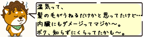 湿気って、髪の毛がうねるだけかと思ってたけど…内臓にもダメージってマジか〜。ボク、知らずにくらってたかも〜！