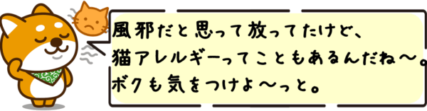 風邪だと思って放ってたけど、猫アレルギーってこともあるんだね〜。ボクも気をつけよ〜っと。
