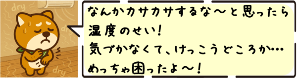 なんかカサカサするな〜と思ったら湿度のせい。気づかなくて、けっこうどころか…めっちゃ困ったよ〜。