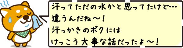 汗ってただの水かと思ってたけど…違うんだね〜！汗っかきのボクにはけっこう大事な話だったよ〜！
