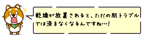 乾燥が放置されると、ただの肌トラブルでは済まなくなるんですね…！