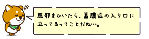 風邪をひいたら、蓄膿症の入り口に立ってるってことだね…。