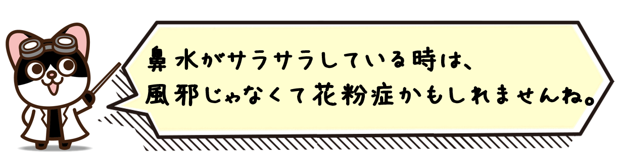 鼻水がサラサラしている時は、風邪じゃなくて花粉症かもしれませんね。