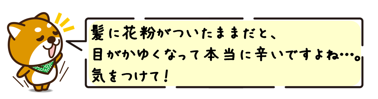 髪に花粉がついたままだと、目がかゆくなって本当に辛いですよね…。気をつけて！