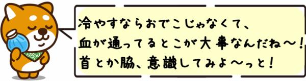 冷やすならおでこじゃなくて、血が通ってるとこが大事なんだね〜！首とか脇、意識してみよ〜っと！