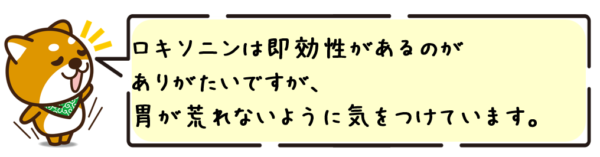 ロキソニンは即効性があるのがありがたいですが、胃が荒れないように気をつけています。