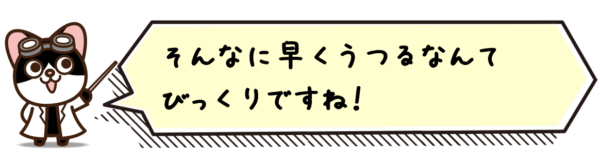 そんなに早くうつるなんてびっくりですね！