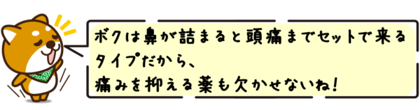 ボクは鼻が詰まると頭痛までセットで来るタイプだから、痛みを抑える薬も欠かせないね！