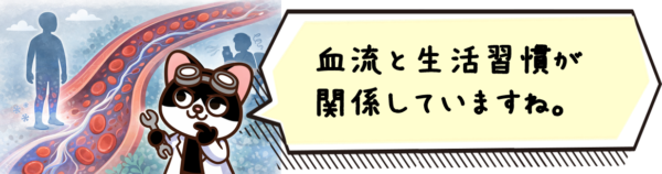 血流と生活習慣が関係していますね。
