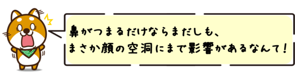 鼻がつまるだけならまだしも、まさか顔の空洞にまで影響があるなんて…！