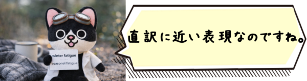 直訳に近い表現なのですね。