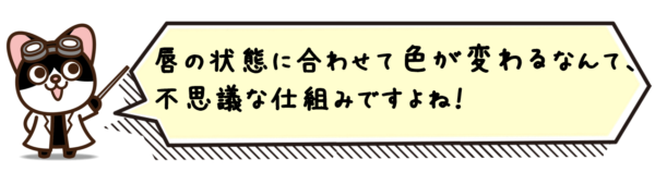 唇の状態に合わせて色が変わるなんて、不思議な仕組みですよね！