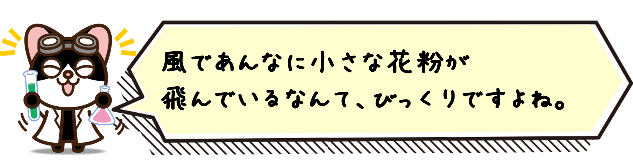 風であんなに小さな花粉が飛んでいるなんて、びっくりですよね。