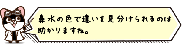 鼻水の色で違いを見分けられるのは助かりますね。