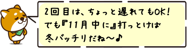 2回目は、ちょっと遅れてもOK！でも11月中に打っとけば冬バッチリだね～。