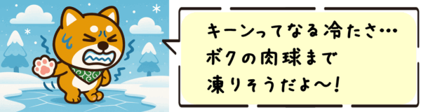 キーンってなる冷たさ…ボクの肉球まで凍りそうだよ～！