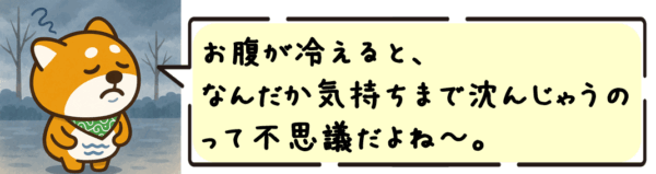 お腹が冷えると、なんだか気持ちまで沈んじゃうのって不思議だよね〜。
