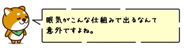 眠気がこんな仕組みで出るなんて意外ですよね。