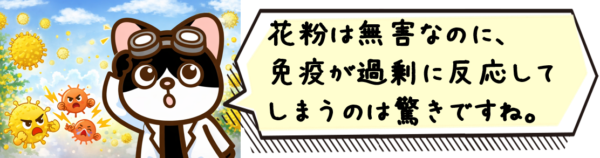花粉は無害なのに、免疫が過剰に反応してしまうのは驚きですね。