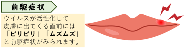 ウイルスが活性化して皮膚に出てくる直前には「ピリピリ」「ムズムズ」と前駆症状がみられます。