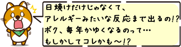 日焼けだけじゃなくて、アレルギーみたいな反応まで出るの!? ボク、毎年かゆくなるのって…もしかしてコレかも〜!?