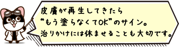 皮膚が再生してきたら“もう塗らなくてOK”のサイン。治りかけには休ませることも大切です。