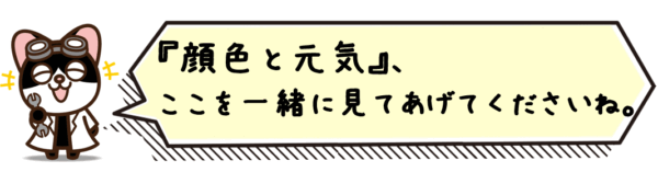 顔色と元気、ここを一緒に見てあげてくださいね。