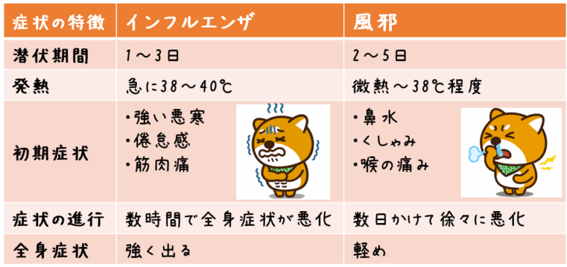 症状の特徴 インフルエンザ 風邪 潜伏期間 1〜3日 2〜5日 発熱 急に38〜40℃ 微熱〜38℃程度 初期症状 強い悪寒・倦怠感・筋肉痛 鼻水・くしゃみ・喉の痛み 症状の進行 数時間で全身症状が悪化 数日かけて徐々に悪化 全身症状 強く出る 軽め