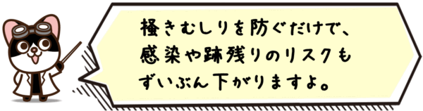 掻きむしりを防ぐだけで、感染や跡残りのリスクもずいぶん下がりますよ。