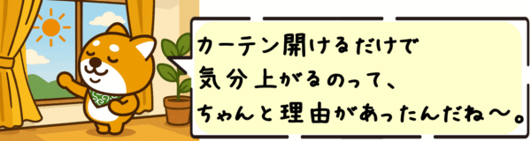 カーテン開けるだけで気分上がるのって、ちゃんと理由があったんだね〜。
