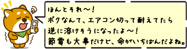 ほんとそれ〜！ボクなんて、エアコン切って耐えてたら逆に溶けそうになったよ〜！節電も大事だけど、命がいちばんだよね〜！